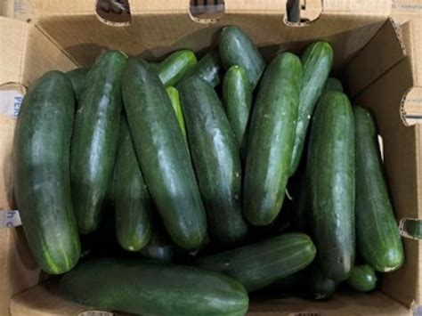 costco cucumber recall.